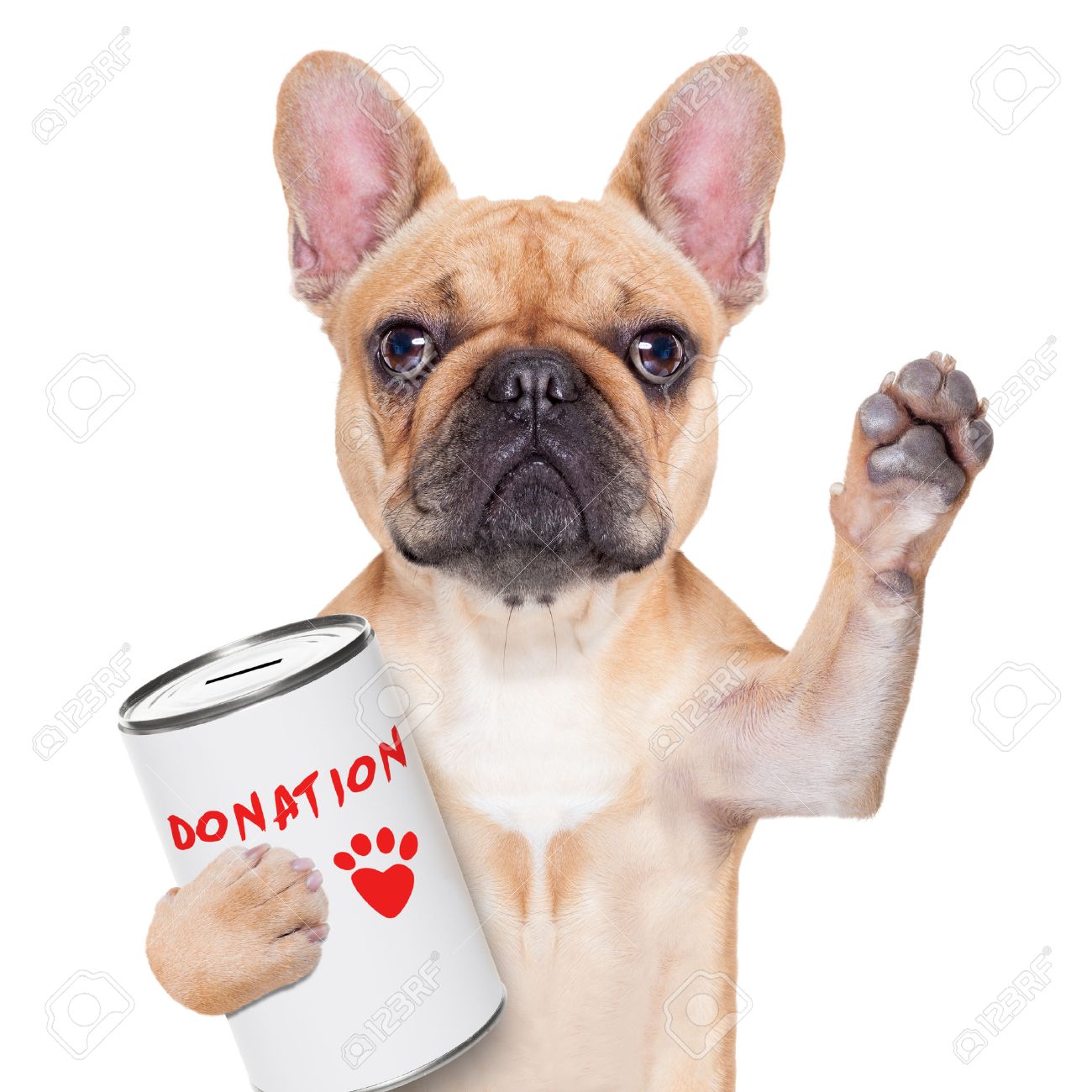 Donate